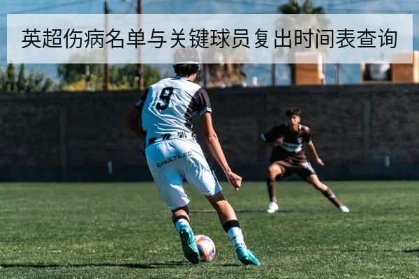 英超伤病名单与关键球员复出时间表查询